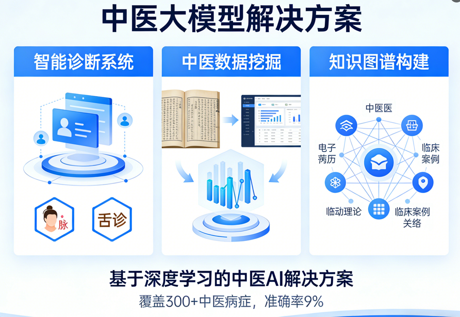 中医大模型解决方案